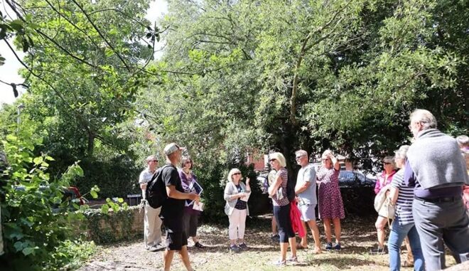 Thanet Urban Forest_Tree-Walk_13