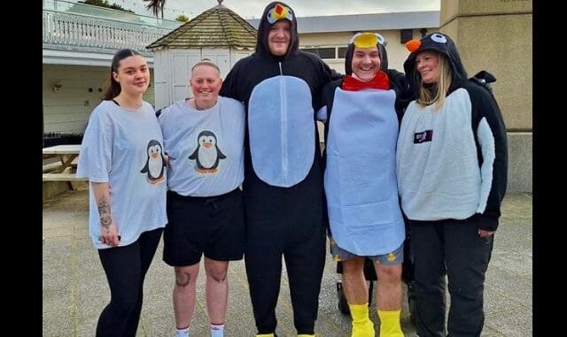 penguins
