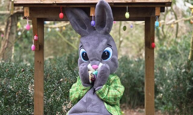 Easter Bunny