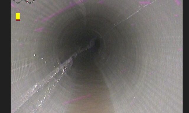 Thanet Inside Liner