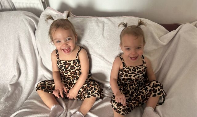 twins