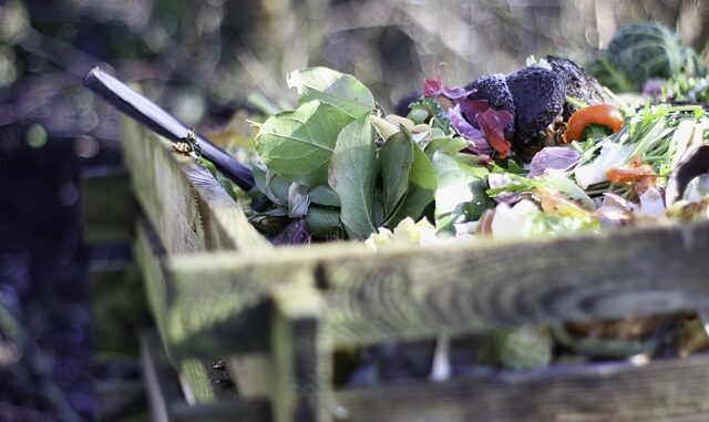 garden-4725522_640