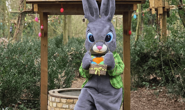 Bouncing Bunnies PR 3