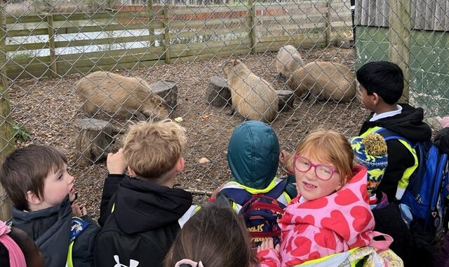 StGregwildlife - exploring animal habitats at Wingham Widlife Park4